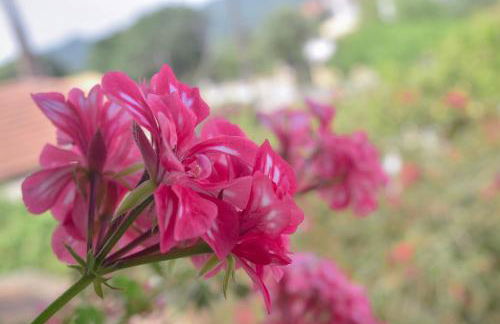 Mirsini Apartments - Foto 34