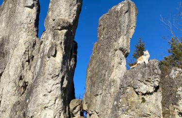 Gasthof zur Sägemühle - Foto 32