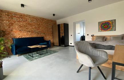 Apartamenty Gliwice Staromiejska 65 - Foto 25