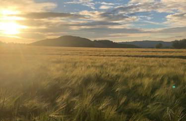 Ferienwohnung Tillmanns - Foto 18