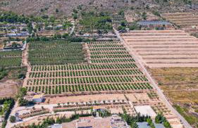 Bellevall resort, hotel y apartamentos - Foto 2