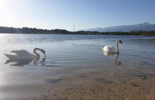 Apartmani Rudi - Foto 23