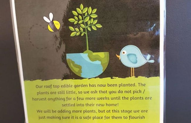 2BR Food Drink Hub Pool 2 Cars Gym Rooftop - Foto 17