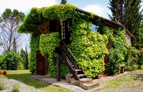 La Stellina Casa Vacanze - Relax immersi nella natura - Foto 1