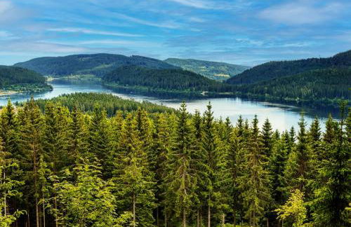 Black Forest Luxury Apartment Bärenhöhle mit Sauna - Foto 34