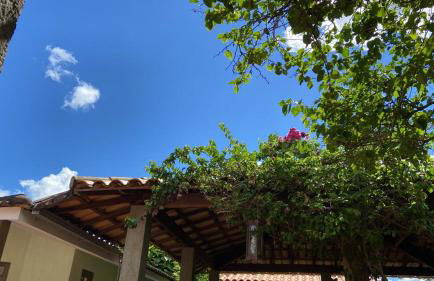 Alvorecer do Pepê - Foto 14