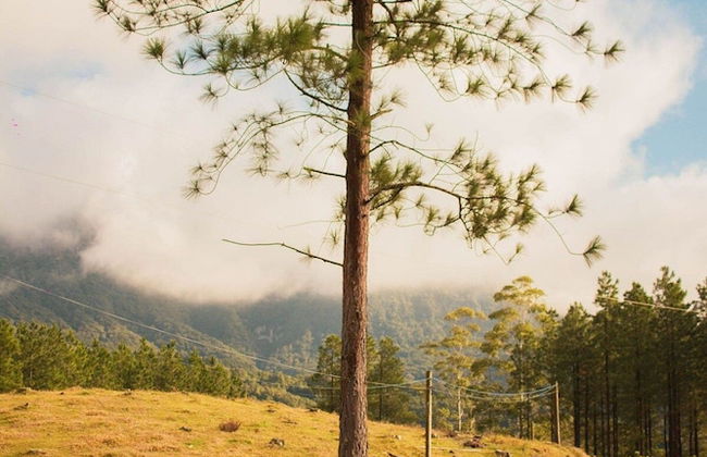 Chalé Sítio Corvo Branco - Photo 10