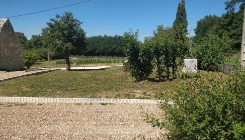 Les Amis de Beauval - Photo 3, Garden