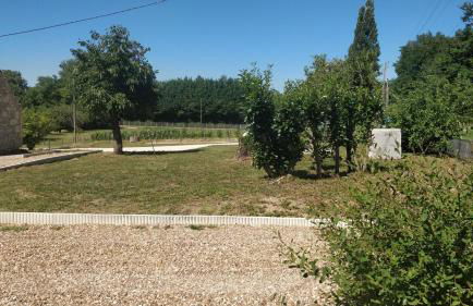 Les Amis de Beauval - Photo 3