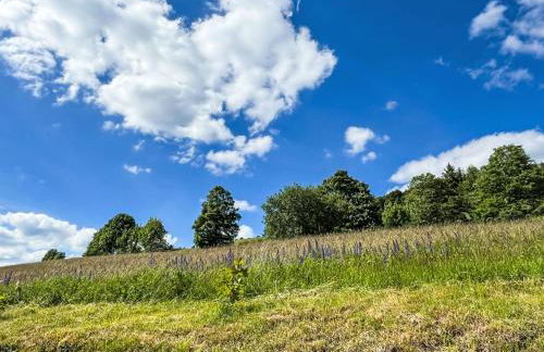 Apartment Schwarzwaldblick VI by Interhome - Foto 44