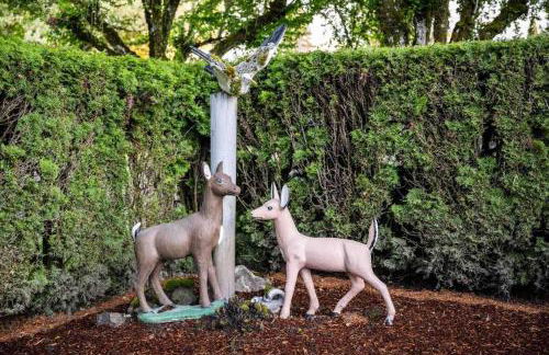 Jim and Shirley's Cukoo's Nest - Foto 17