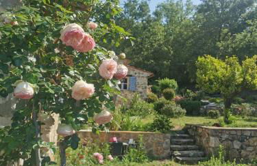 Domaine GEODORA, Parfumeur en Provence - Foto 65