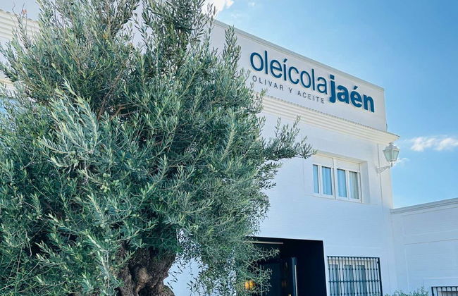 Visita al frantoio Oleícola Jaén con degustazione di olio - Foto 5