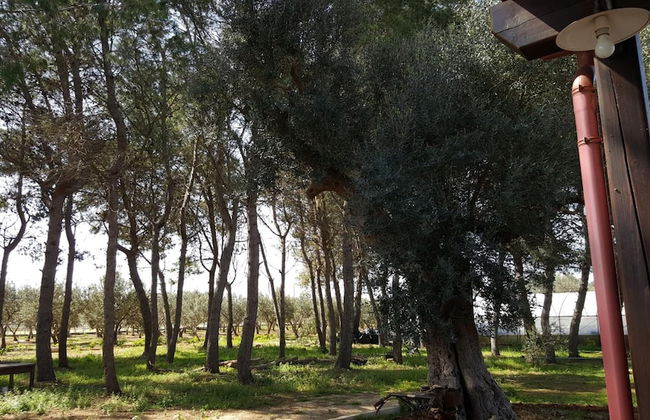 Tenuta Cavalieri - Foto 42