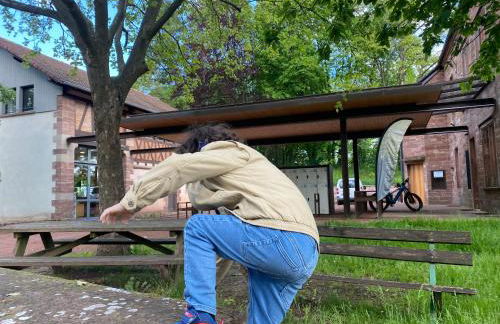 LA VILLA DES OISEAUX - La Petite Pierre - Foto 61