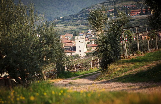 Agriturismo Corteforte - Foto 32