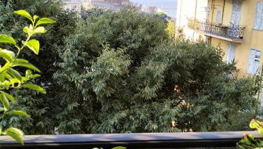 My favorite house - Photo 5