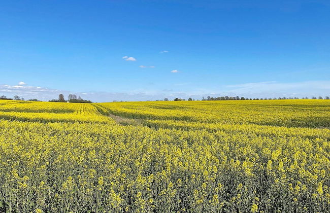 5 Star Holiday Home in Hoor-by Traum - Foto 14