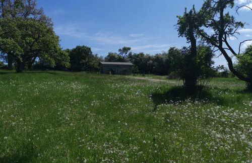 Gutshaus Thorstorf FeWo Poel - Foto 14