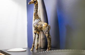 Comfortable 3-Bed House - Foto 24