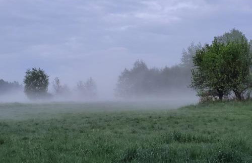 Na końcu dróżki - Foto 7