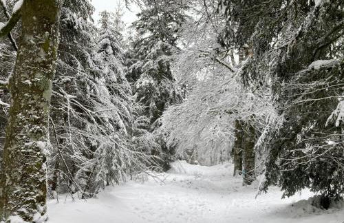 Cosy T2 au Mont Dore Sauna privé et vue montagne proche thermes - Foto 21