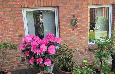 Ferienwohnung-in-Stadtmitte - Foto 1