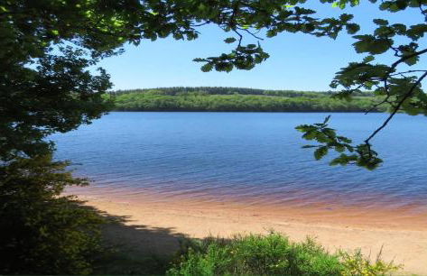 Morvan La Pastourelle - Foto 25