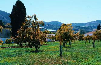 FINCA YANTAR - Foto 49