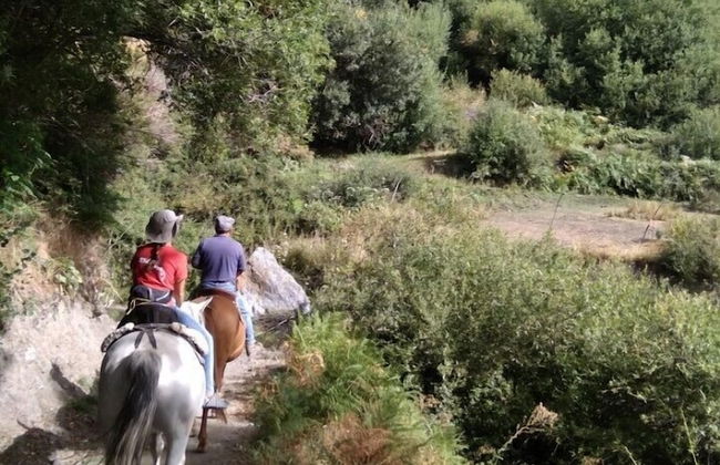 Apartamentos Balcón del Cielo - Foto 31