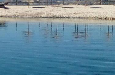 Pedregulho Experience - Foto 30