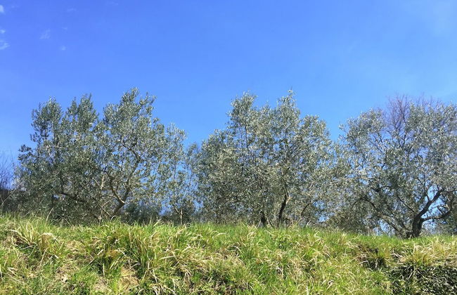 Belvilla by OYO Cottage in Piandisca2 With Terrace - Photo 26