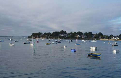 logement avec jardin de bord Mer PORT NAVALO - Photo 46