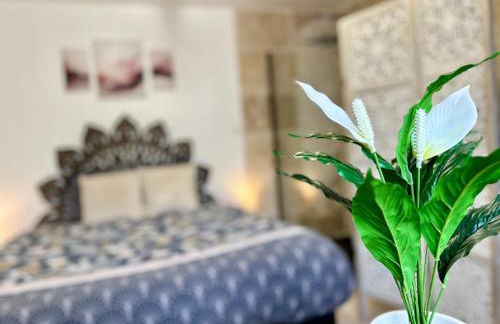 Les Appartements du Mas - Studio Améthyste - Foto 10