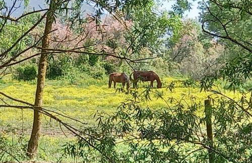 Empuriabrava 500m de la plage de la Rubina - Foto 34