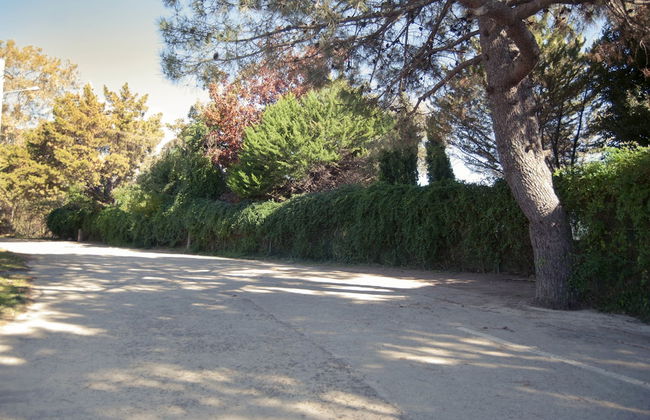 El Calambuco - Foto 34