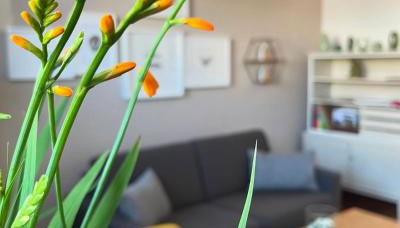 Ferienwohnung Schönwälder mit kleiner Terrasse und WALL BOX - Photo 2