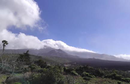 Finca Alda - Foto 32