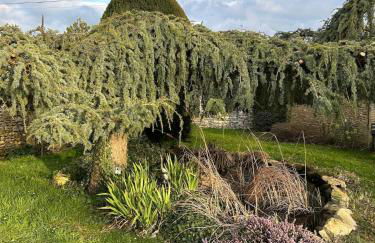 L'écrin des quatre puits - Foto 10