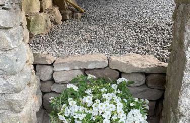 THE DORMOUSE - Il Ghiro - Foto 37