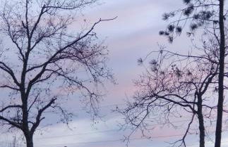 Casa Na Montanha Da Neve - Foto 19