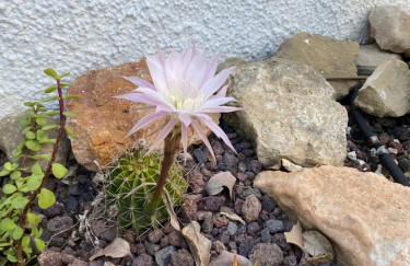 Casa di Paddy - Photo 15