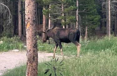 Cozy A-Frame Retreat - Hot Tub, Forest Views - Photo 10