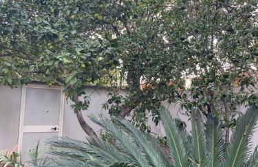 Tangerine Tree House - Foto 16