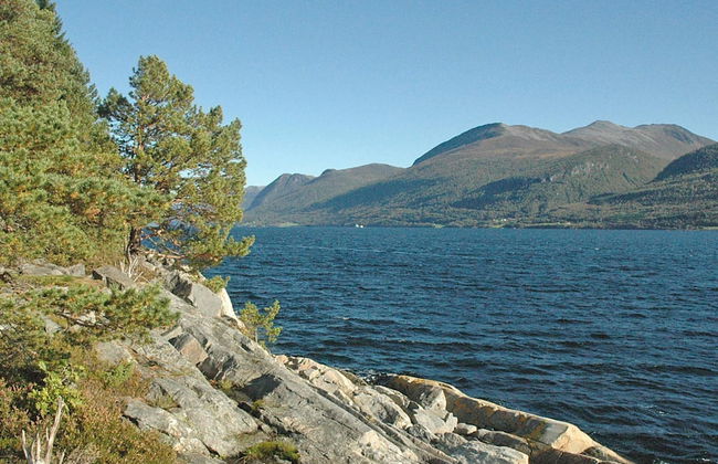 8 Person Holiday Home in Eidsvag-by Traum - Foto 26