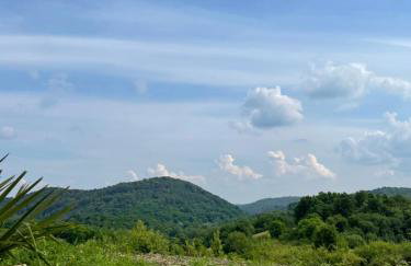 House Joie - Foto 25