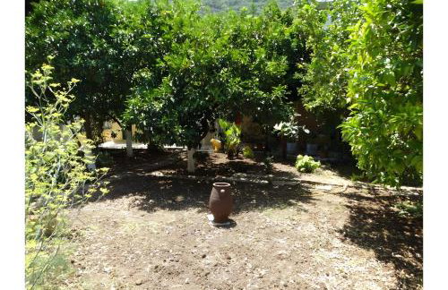 Rooms Grapevine - Foto 22