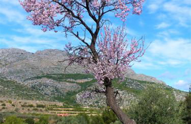 La Giralda 2 Denia Les Marines - Photo 56