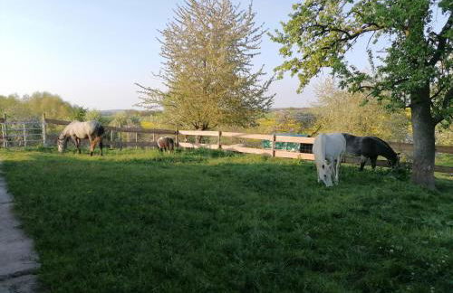 Sinnes Wandel Hof Serka - Foto 26