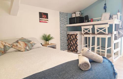 LOU PITCHOUN - Jacuzzi SPA Privé - Vignes - Proche ALBI et CORDES - Foto 4